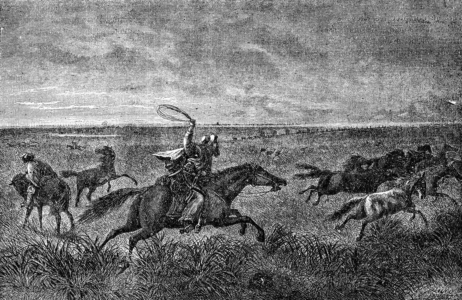 The Gauchos of the Pampas. Their bolas will wrap around the neck bronco, vintage engraving. photo