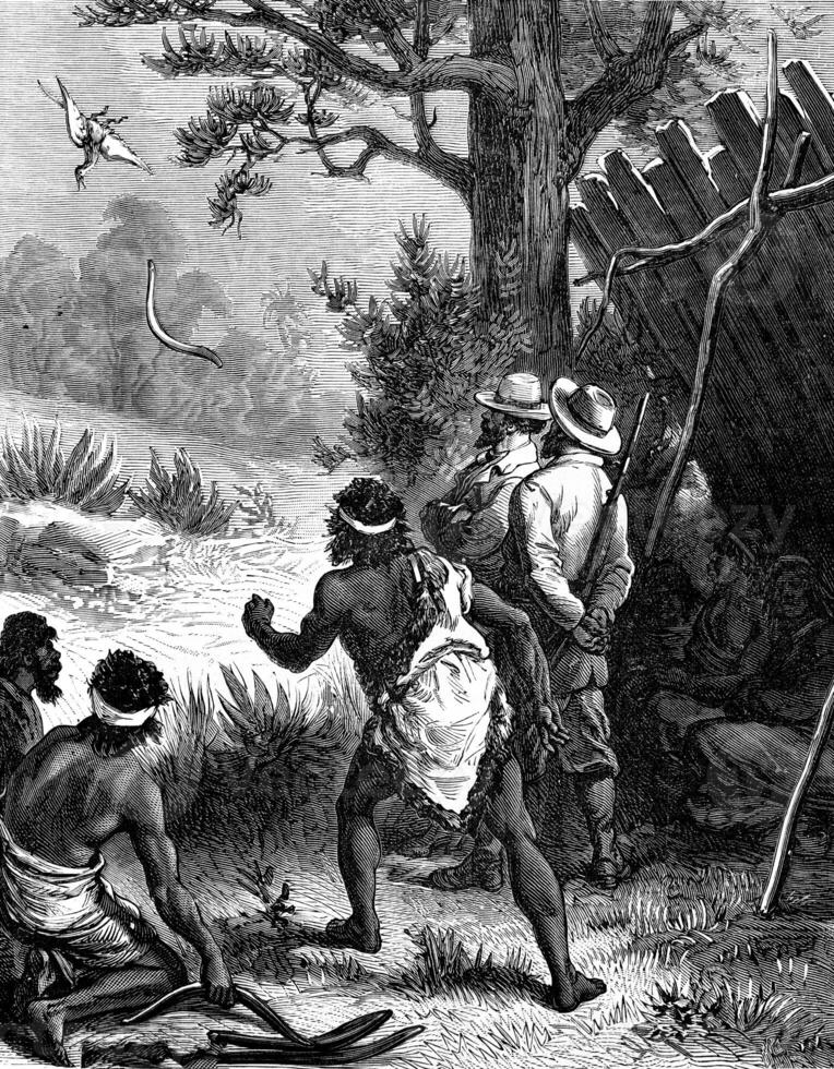 Boomerang. They kill that way birds and animals, vintage engraving. photo