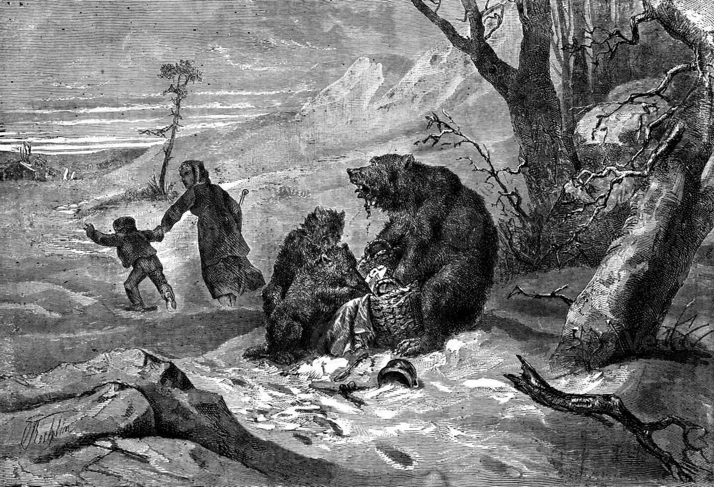 The bear and cubs. Lunch interrupted, vintage engraving. photo