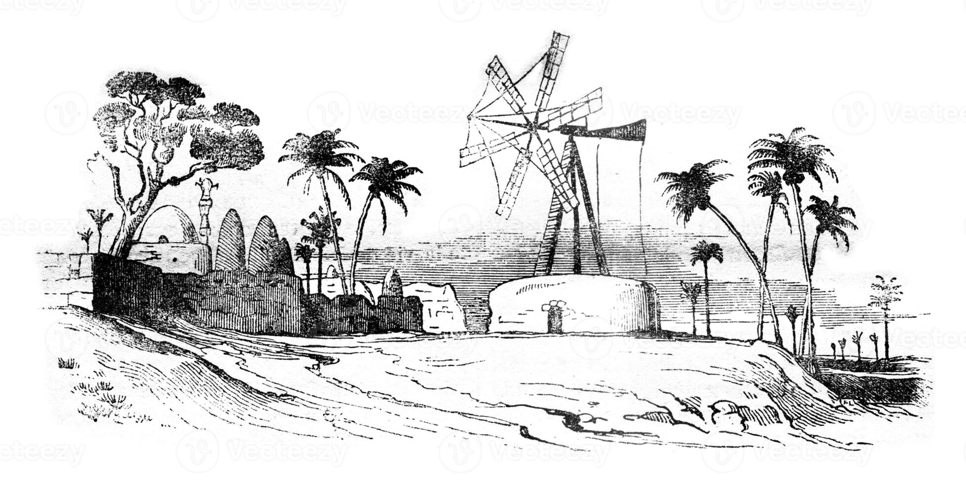 Agriculture in Egypt, Egyptian mill, vintage engraving. photo