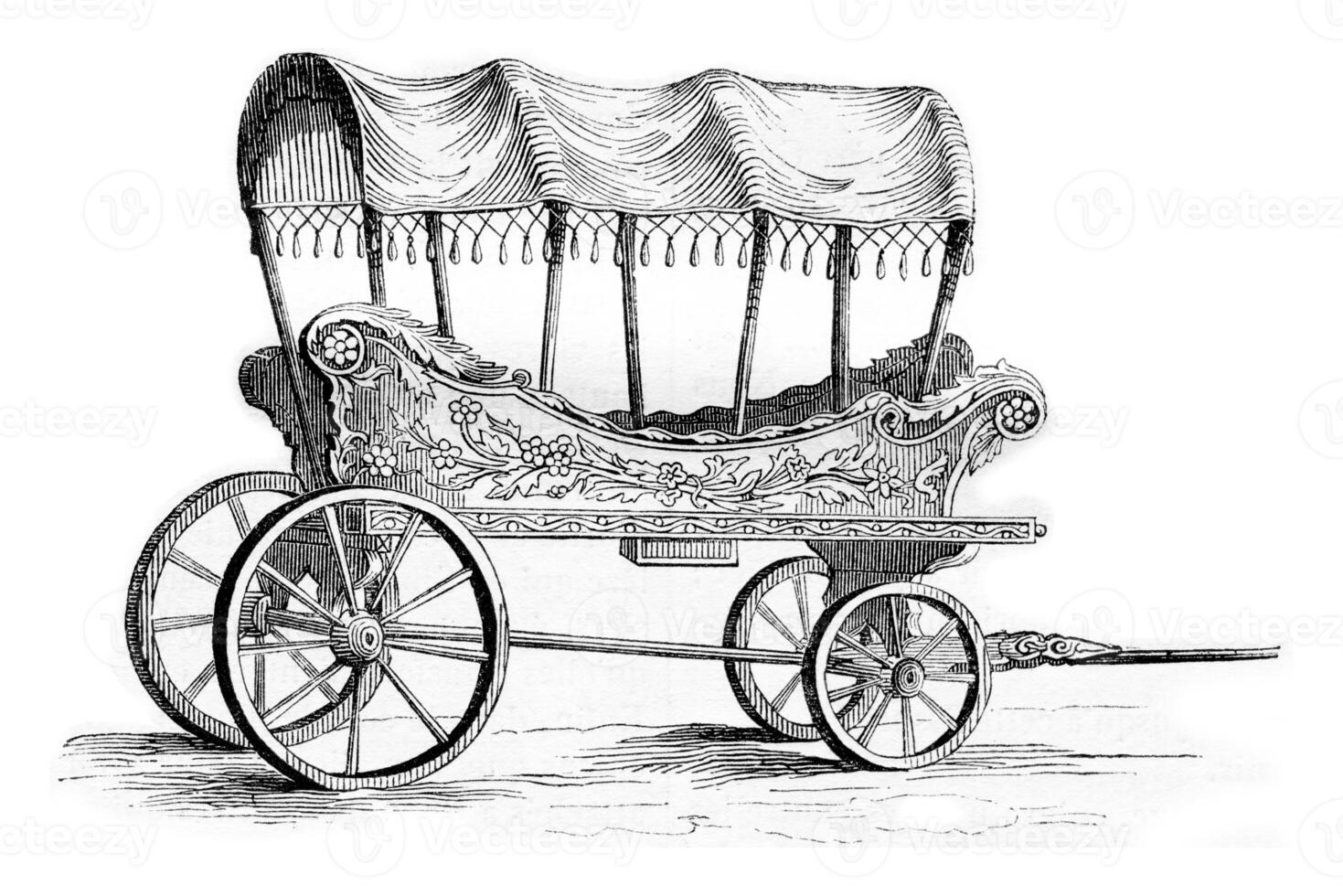 Araba car of Turkish women, vintage engraving. photo