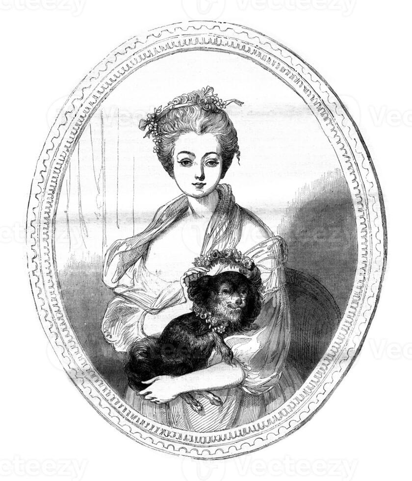 Angers museum., A portrait by Greuze, vintage engraving. photo