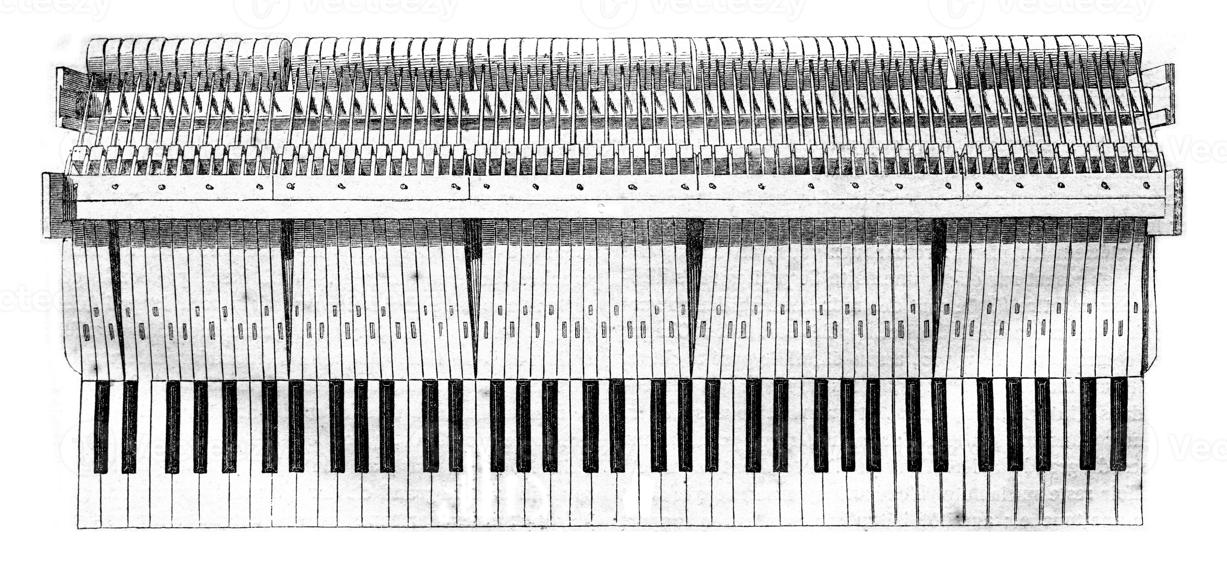 Keys, Head of the hammer, Hammer handle, Hammer nuts, Barre hammers