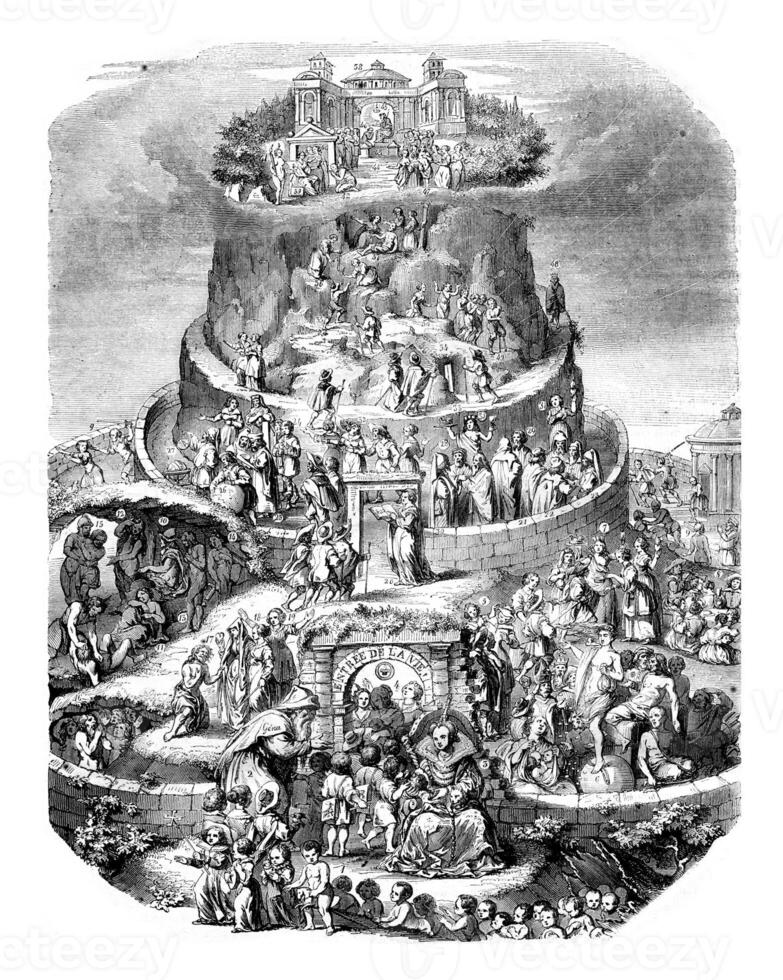 Table of Life, designed by Merian, vintage engraving. photo