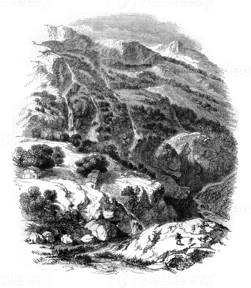 View Daphne Gardens, near Antioch, Syria, vintage engraving. photo