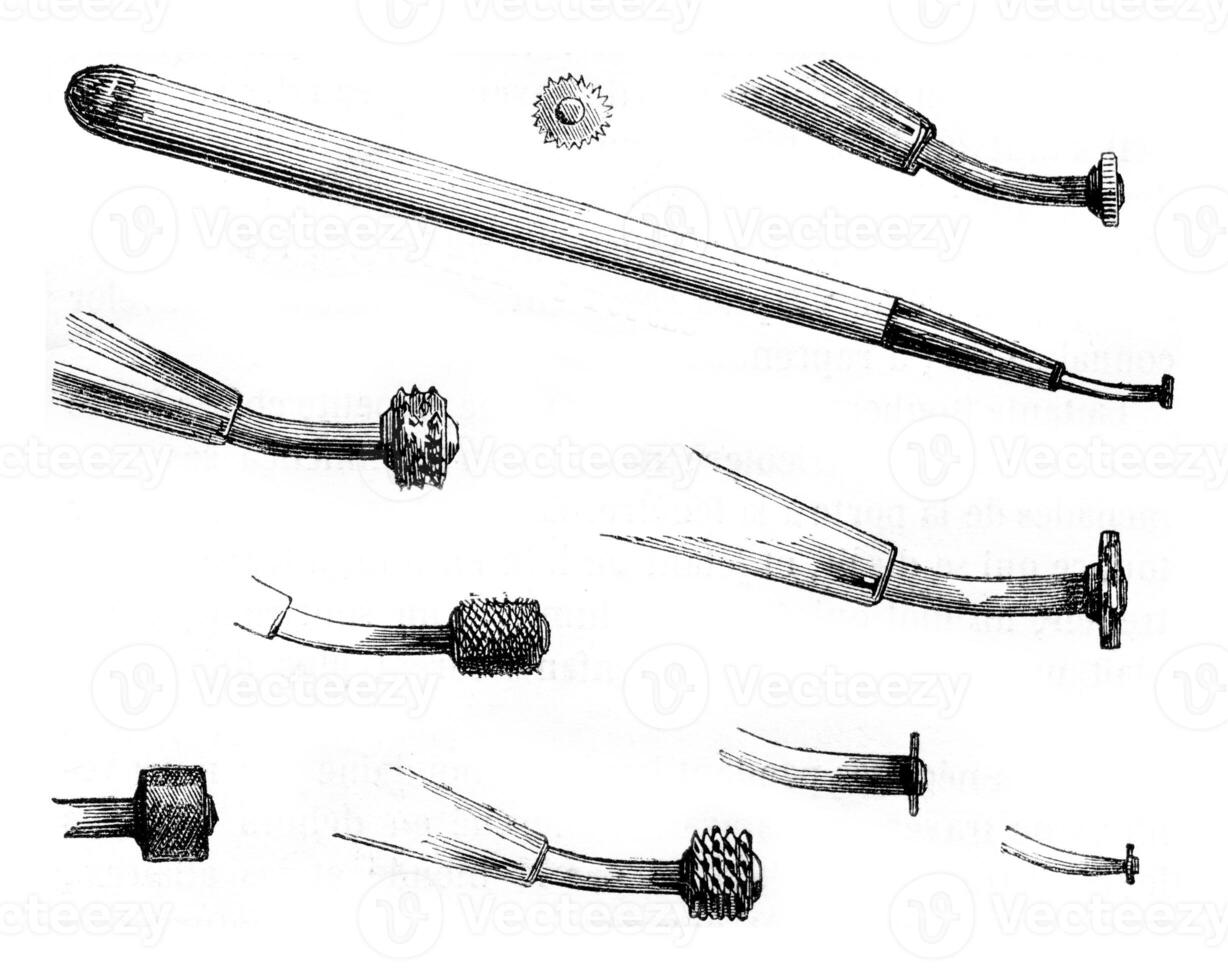 Casters, vintage engraving. photo