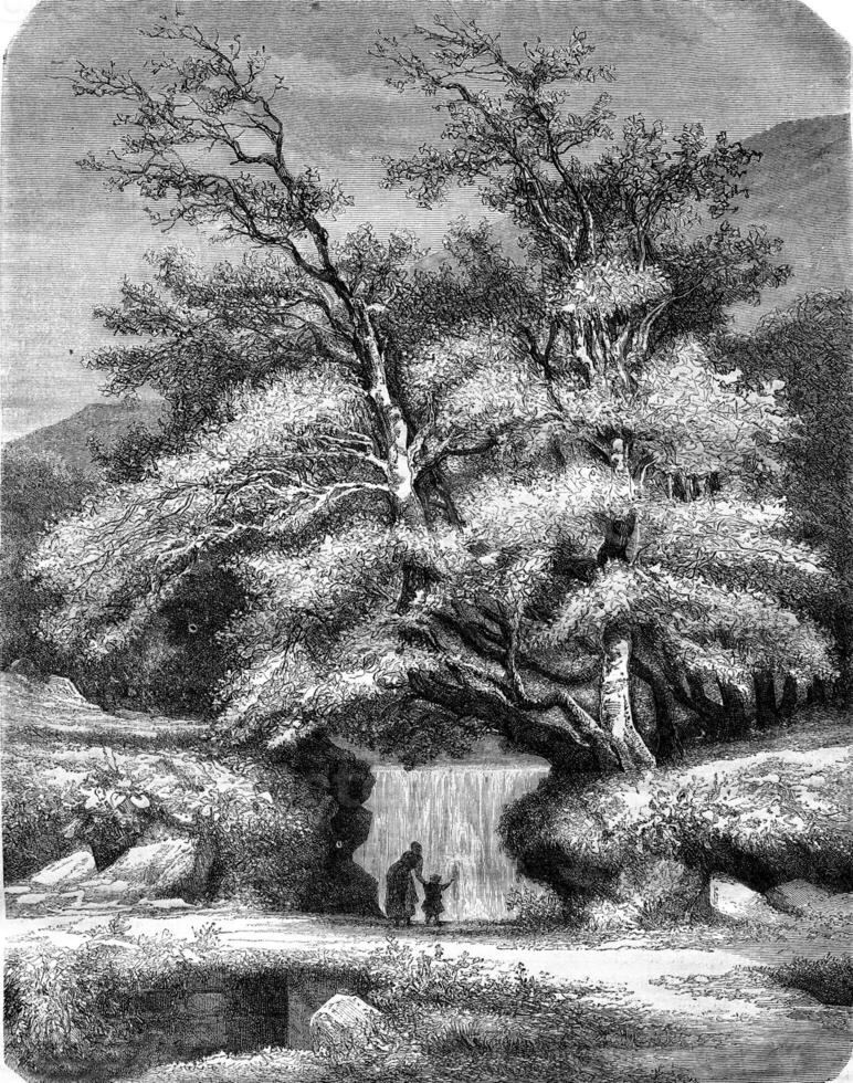 Lys Valley, vintage engraving. photo