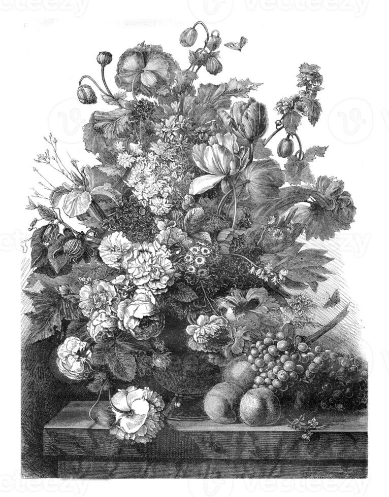 Gallery M Rothan, Flowers and Fruit by Van Dael, vintage engraving. photo