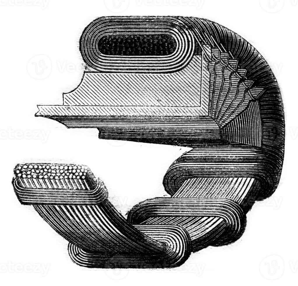 Flexuous bacteria and lengthened by culture, vintage engraving. photo