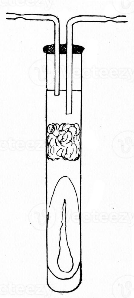 Anaerobic culture tube, vintage engraving. photo