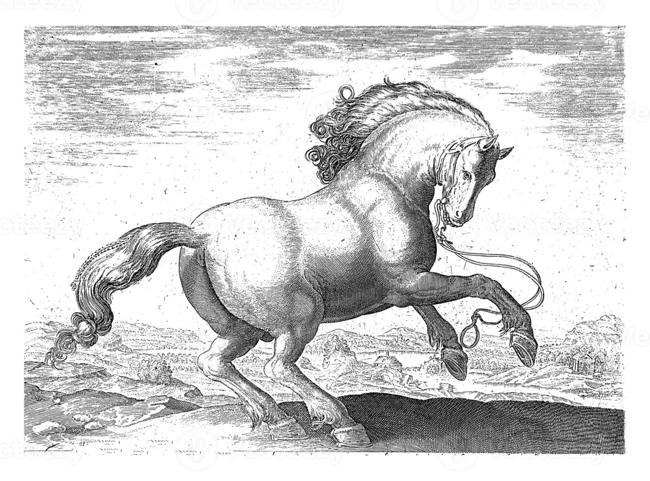 Horse from Denmark, vintage illustration. photo