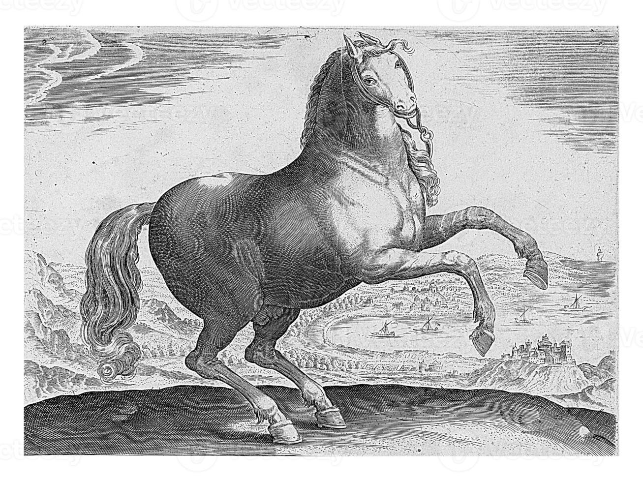 Horse from Southern Italy, vintage illustration. photo