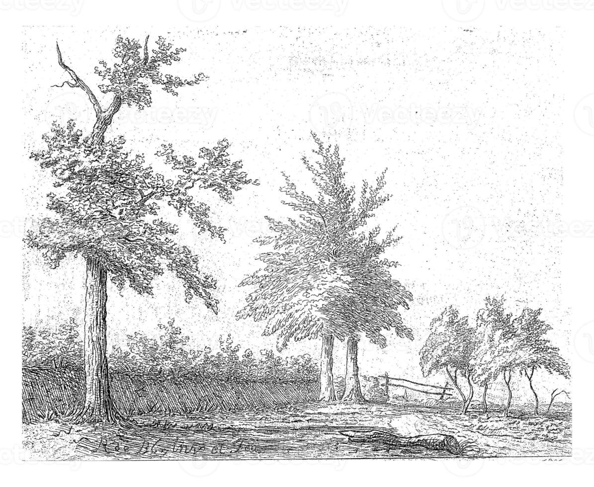 Trees, Reinierus Albertus Ludovicus baron van Isendoorn a Blois, 1836 photo