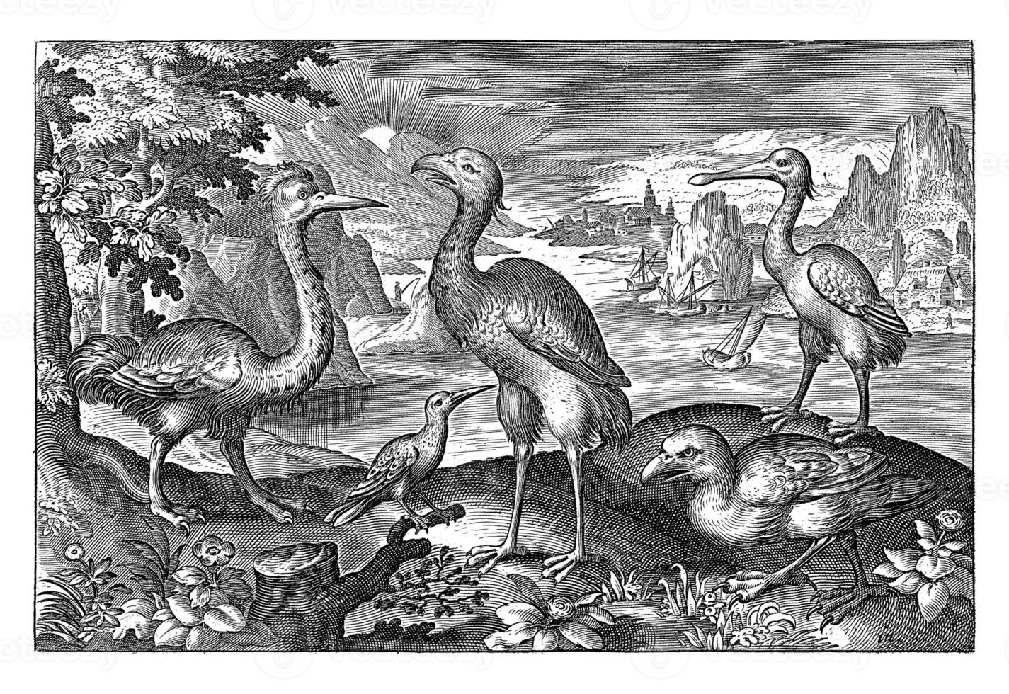 Five birds including spoonbills, Nicolaes de Bruyn photo