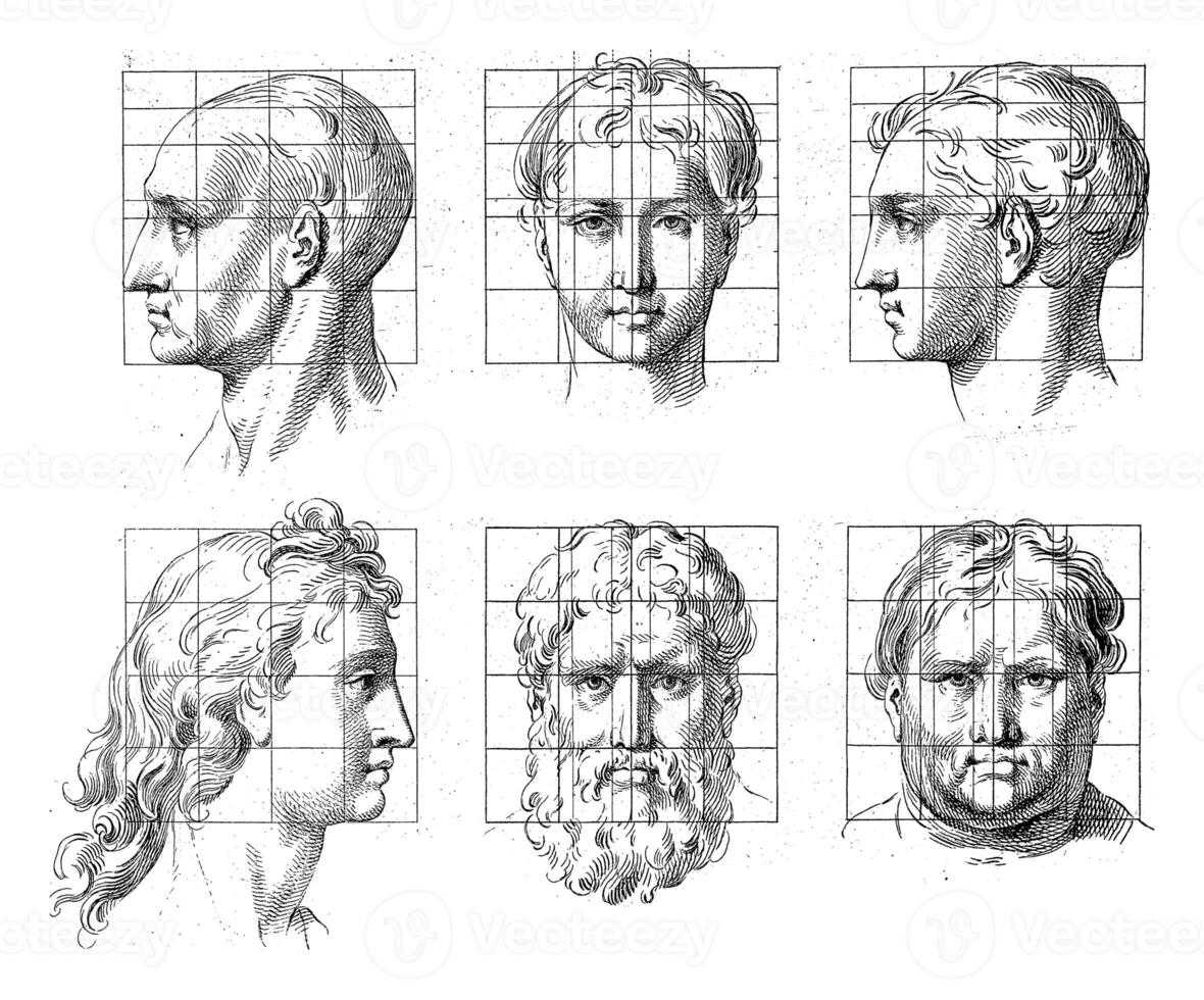 Proportion studies of men's heads photo