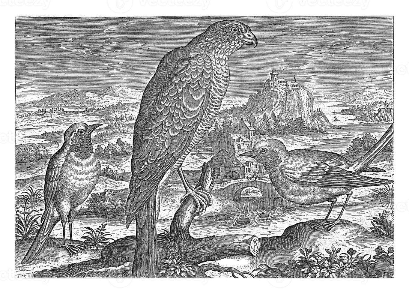 Some Birds in a Landscape, Adriaen Collaert, 1598 - 1618 photo