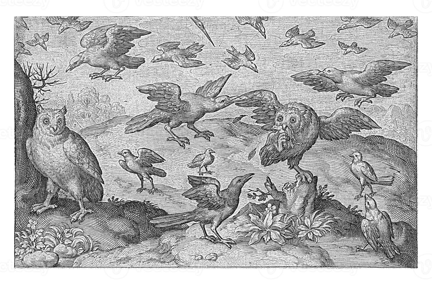 búho atacado con presa por otro aves, nicolas Delaware bruyn, 1594 foto