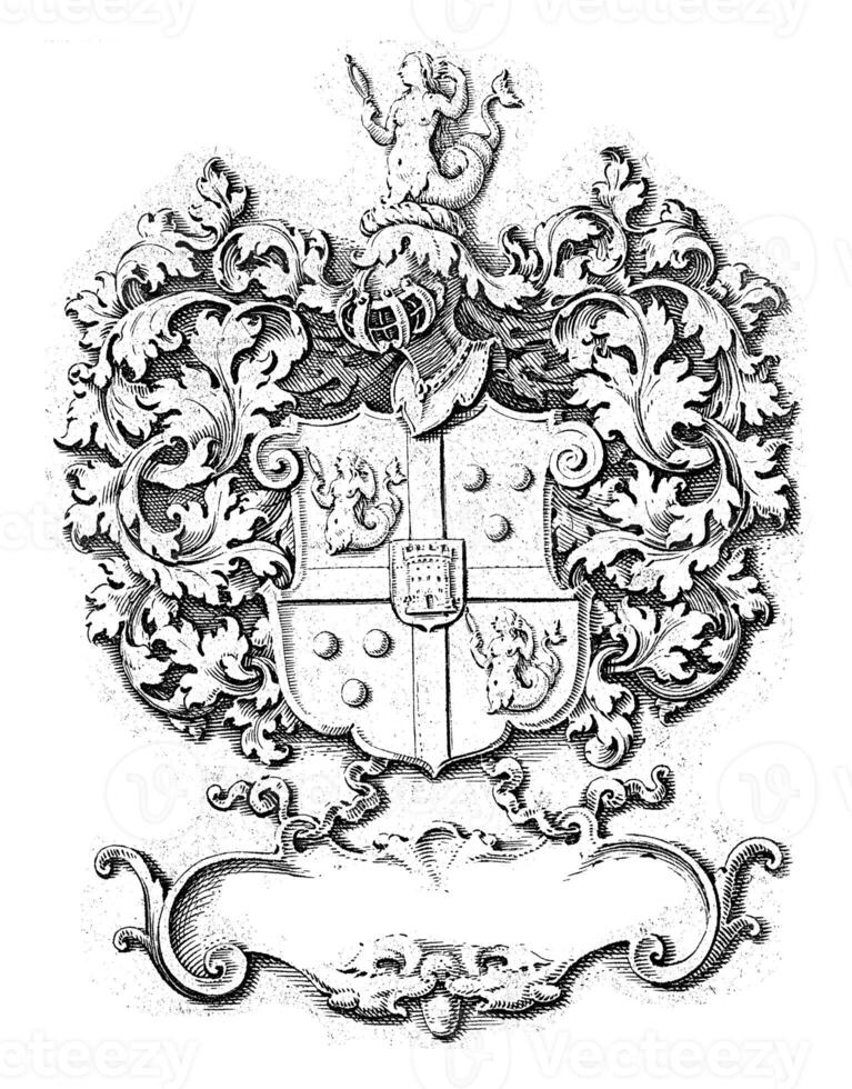 Coat of arms crowned with a mermaid photo