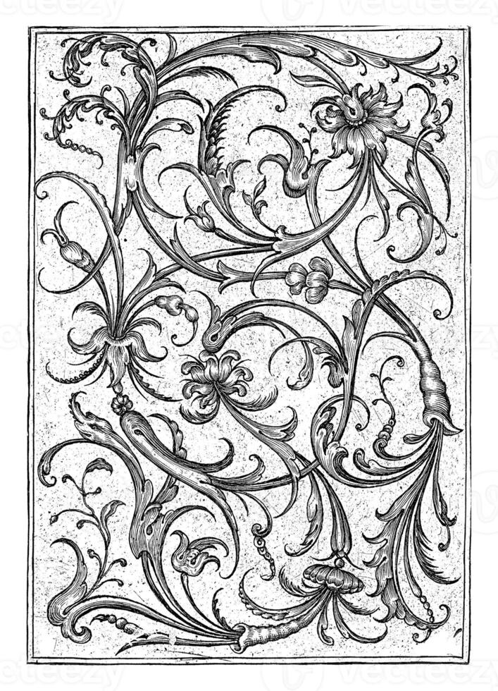 Panel with vines and flowers photo