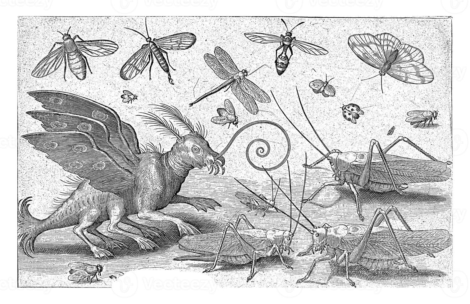 Grasshoppers and fantasy creature with wings and webbed feet photo