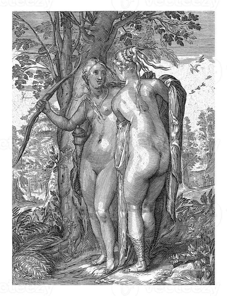 Diana and a Nymph in Front of a Tree photo