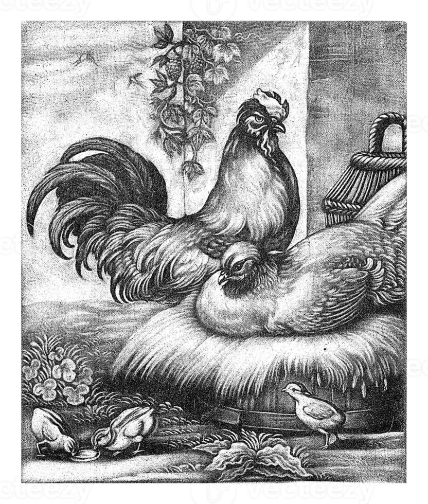 Rooster and Hen, Jan Griffier I, 1667 - 1718 A rooster and a hen are sitting on a nest with some chicks. photo