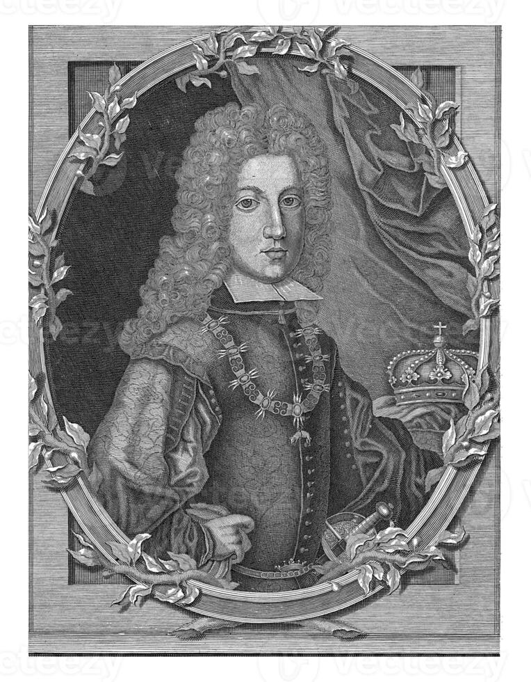 Portrait of Charles VI photo