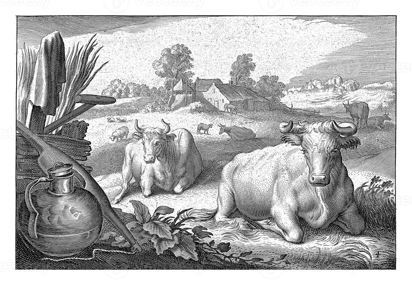 Pasture with Two Reclining Cows photo