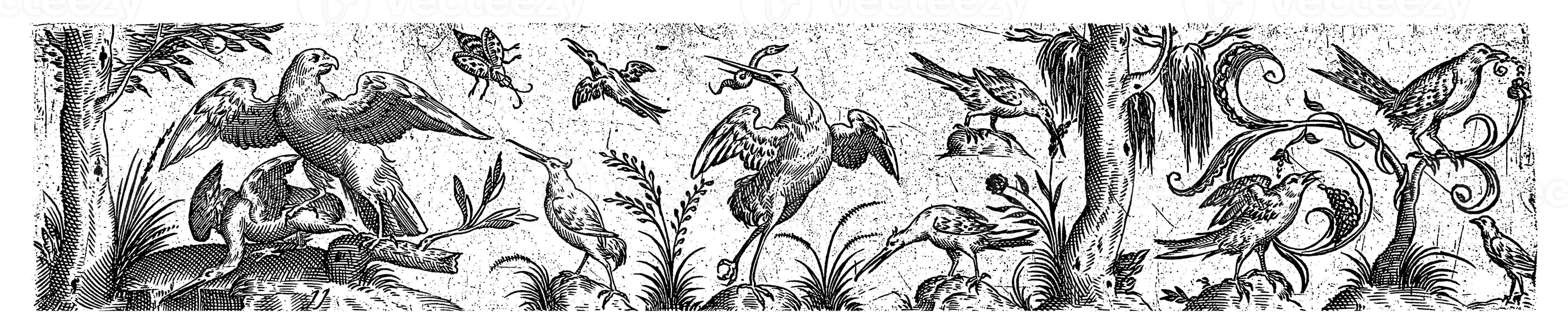 Frieze with Ten Birds and an Insect photo