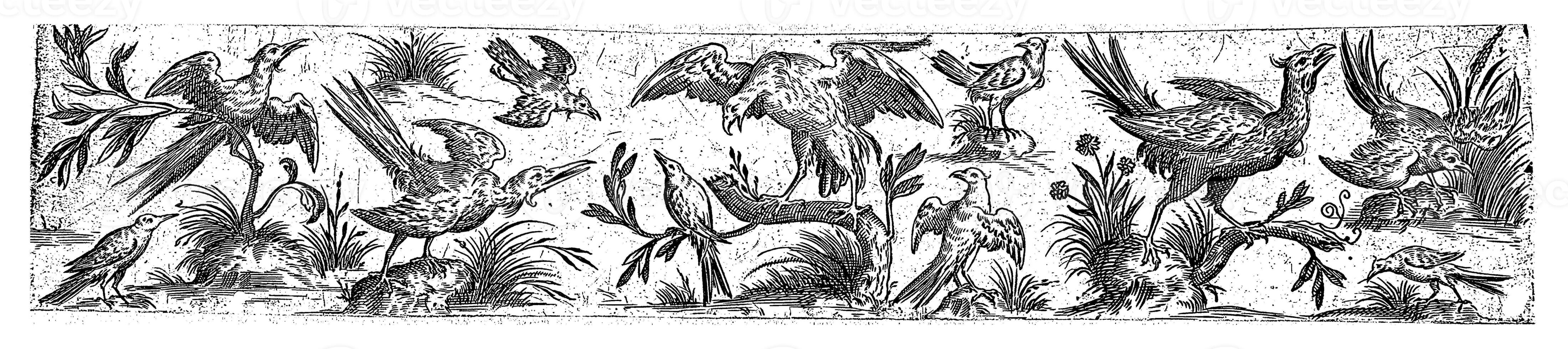 Frieze with eleven birds, in the middle is a large bird on a branch, Hans Liefrinck II possibly, after Hans Collaert I, 1631 photo