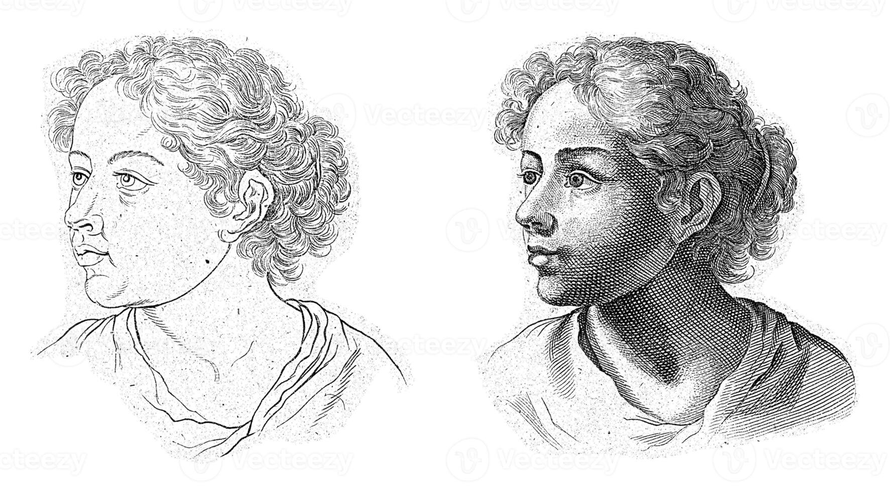 Study of the head of a young woman photo