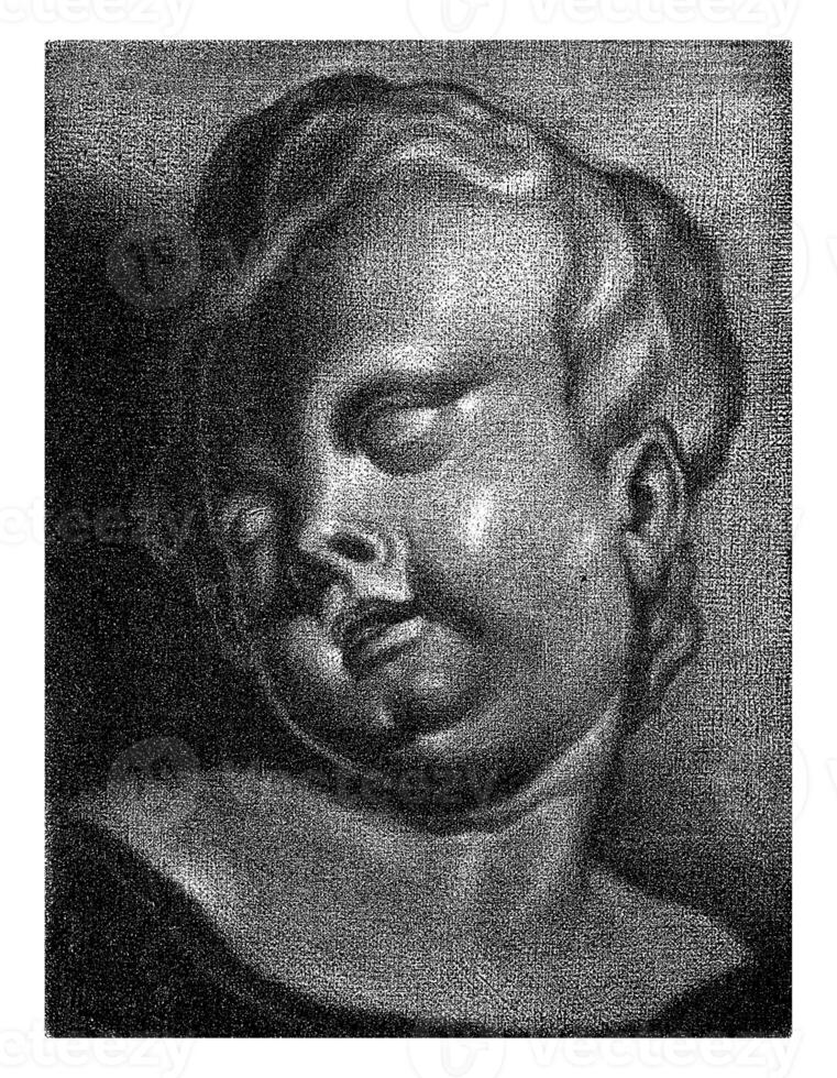 Bust of a putto, Petrus Camper, 1742 photo