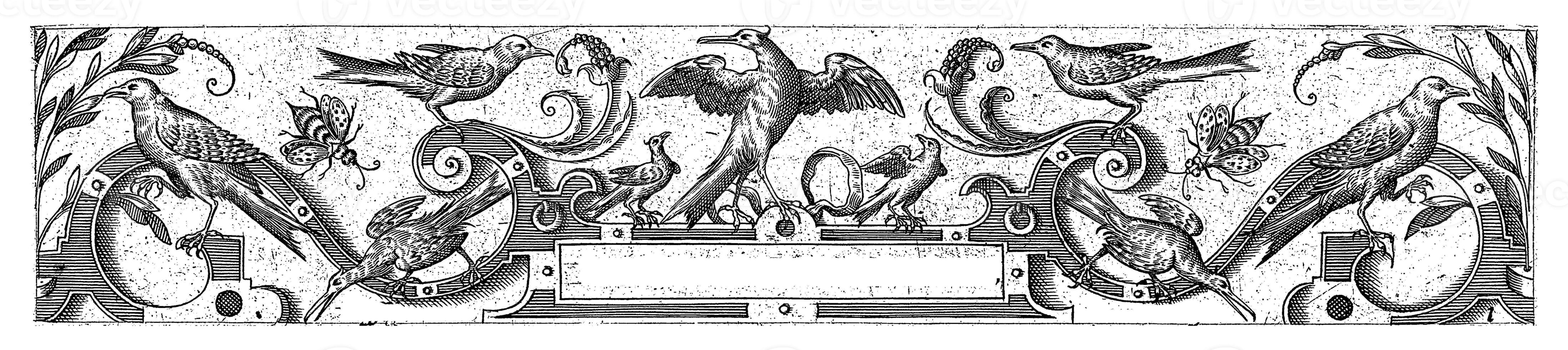 Title page with various birds, Hans Liefrinck II possibly, after Hans Collaert I, 1631 photo