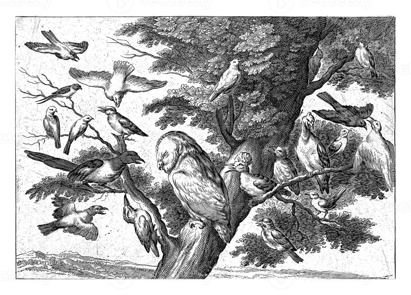 Birds in a Tree, Pieter van Lisebetten photo