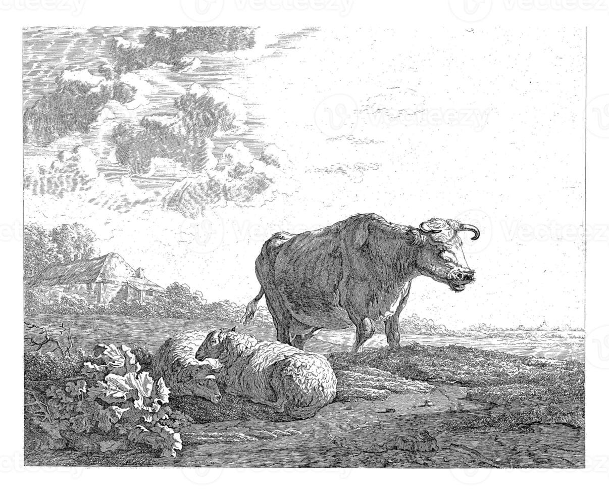 paisaje con un vaca y dos oveja foto
