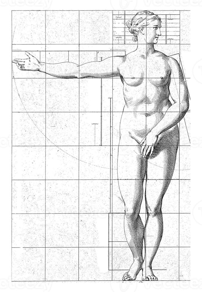 Proportion study of a woman's body photo