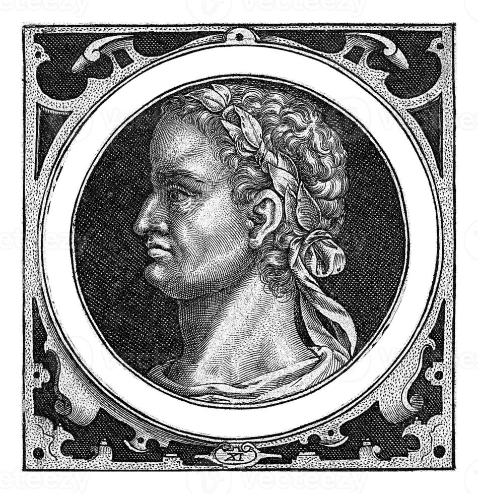 Portrait of Vespasian photo