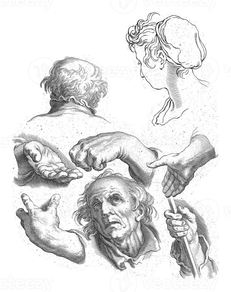 Heads and Hands, Frederick Bloemaert photo