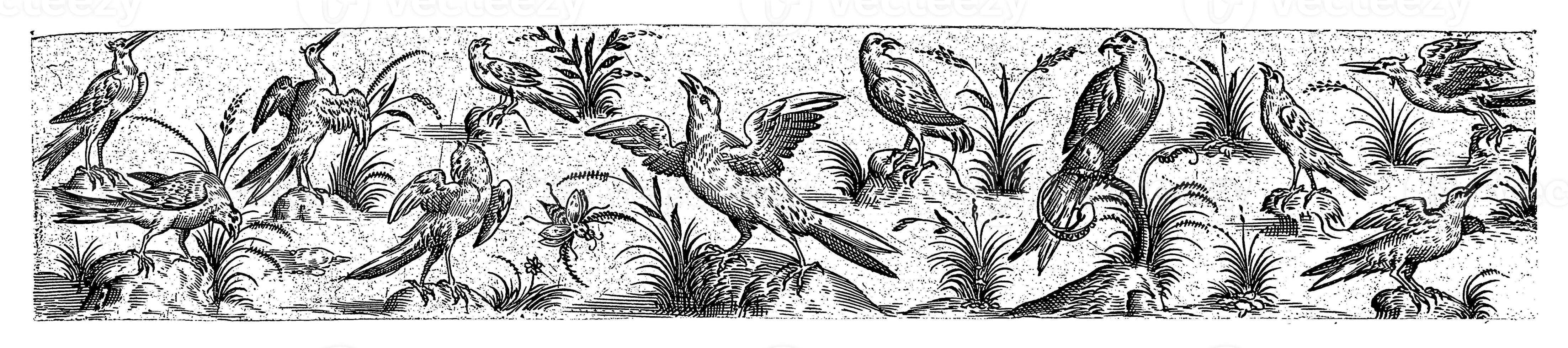 Frieze with Eleven Birds and an Insect, Hans Liefrinck II possibly, after Hans Collaert I, 1631 photo