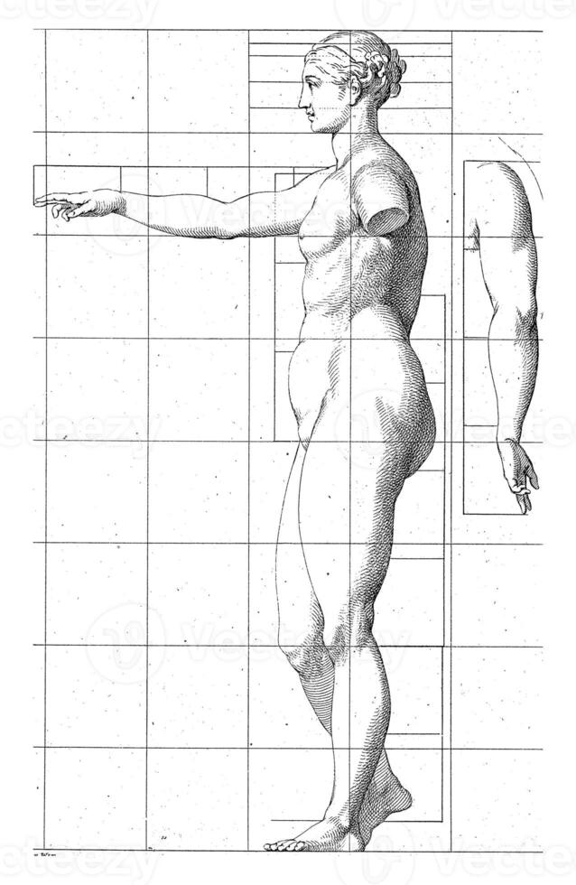 Proportion study of a woman's body photo