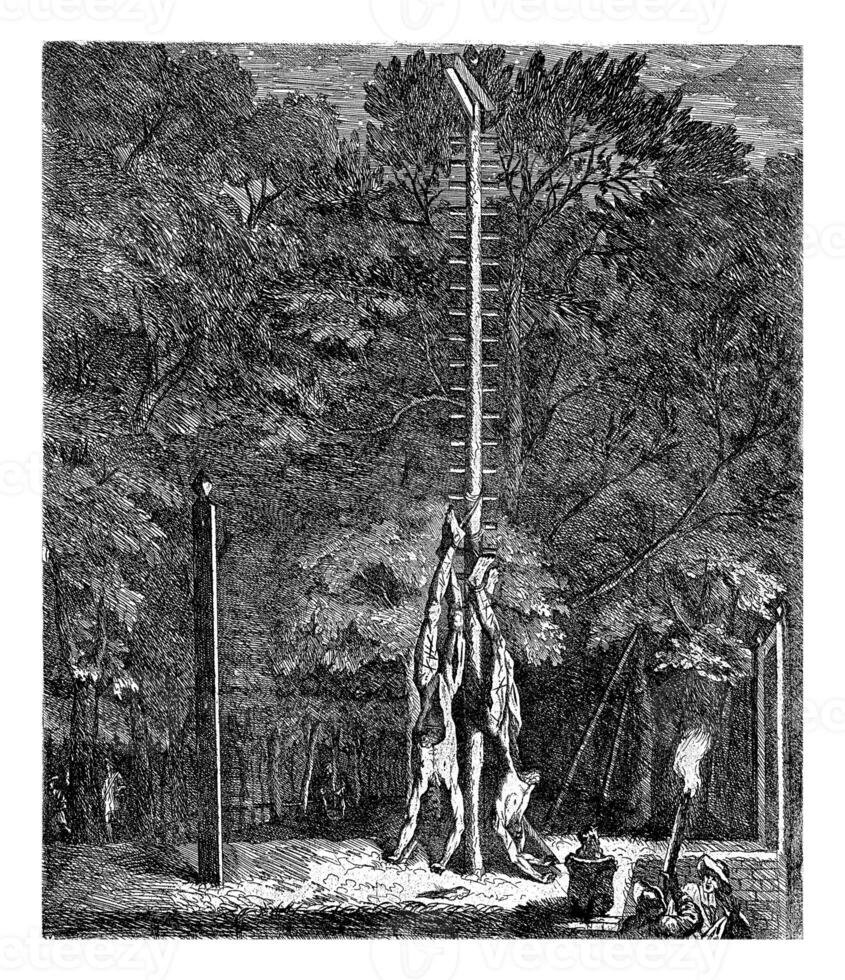The mutilated bodies of the De Witt brothers hanging from a seesaw photo