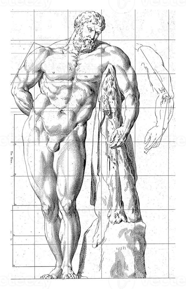 Proportion study of the body of Hercules Farnese photo