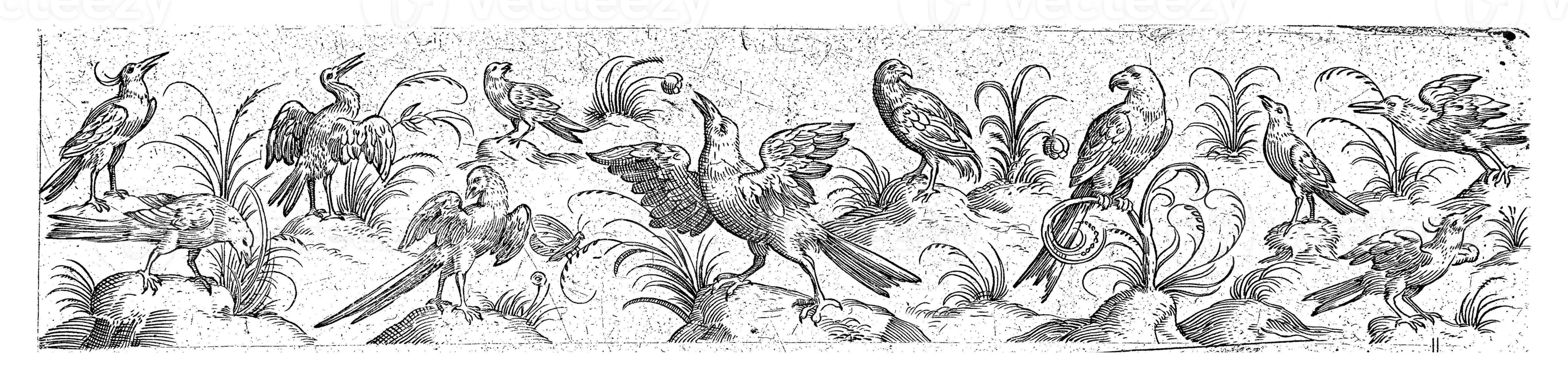 Frieze with Eleven Birds and an Insect photo