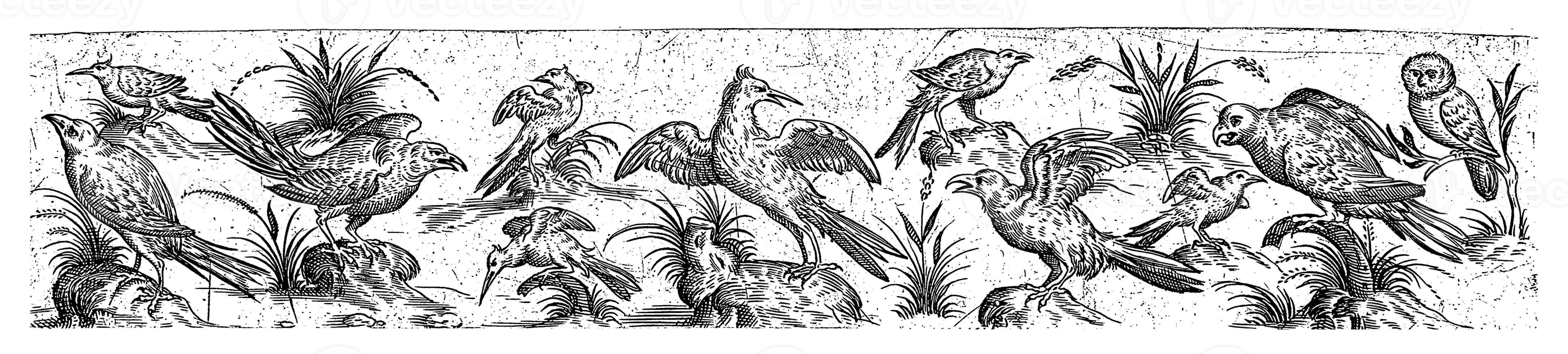 Frieze with eleven birds, on the right is an owl, Hans Liefrinck II possibly, after Hans Collaert I, 1631 photo