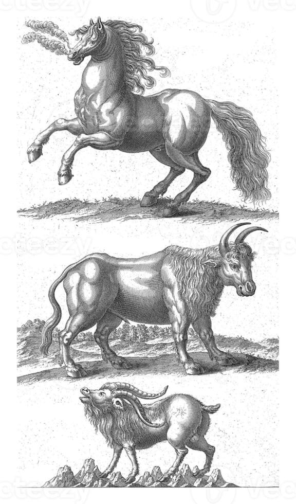 Wild horse, an ox and a goat, Johannes van der Spyck, 1736 - 1761 photo