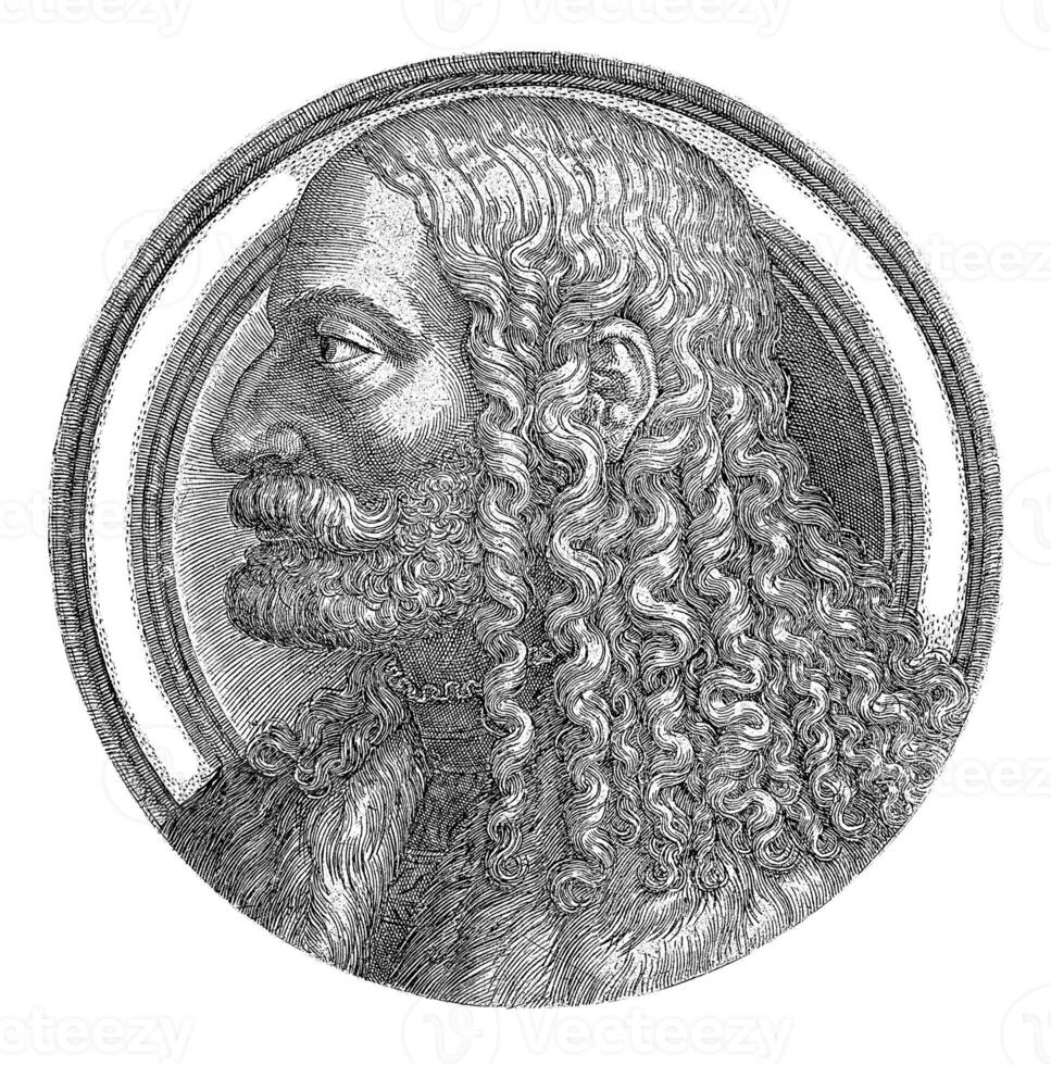 Portrait of Albrecht Durer, Lambertus Suavius, 1520 - 1567 photo