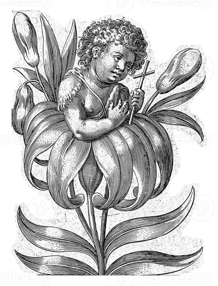 John the Baptist emerging from a lily, Wierix possibly, 1550 - 1650 photo