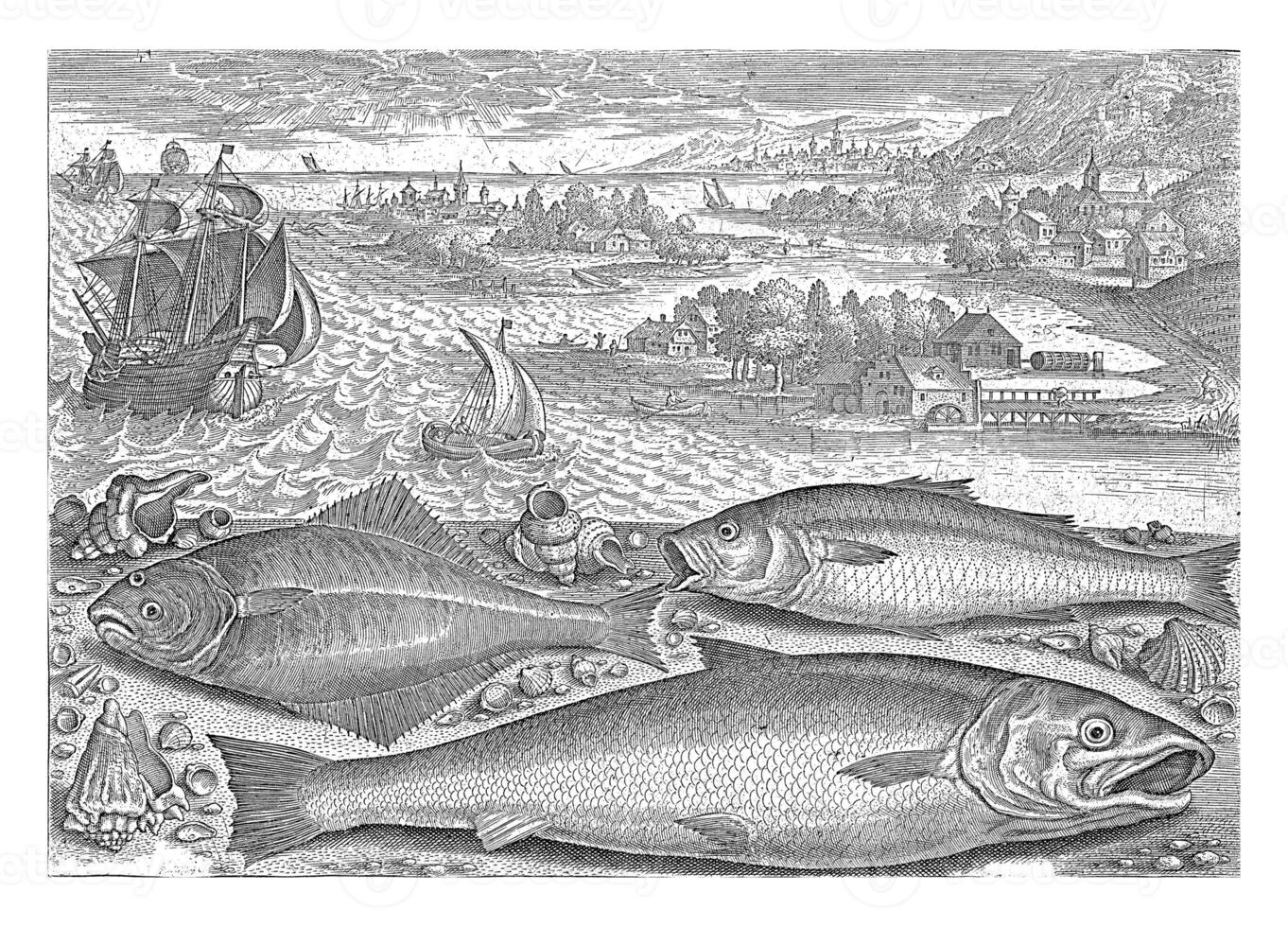 Tres pescado en el playa, adrien collar, 1627 - 1636 foto