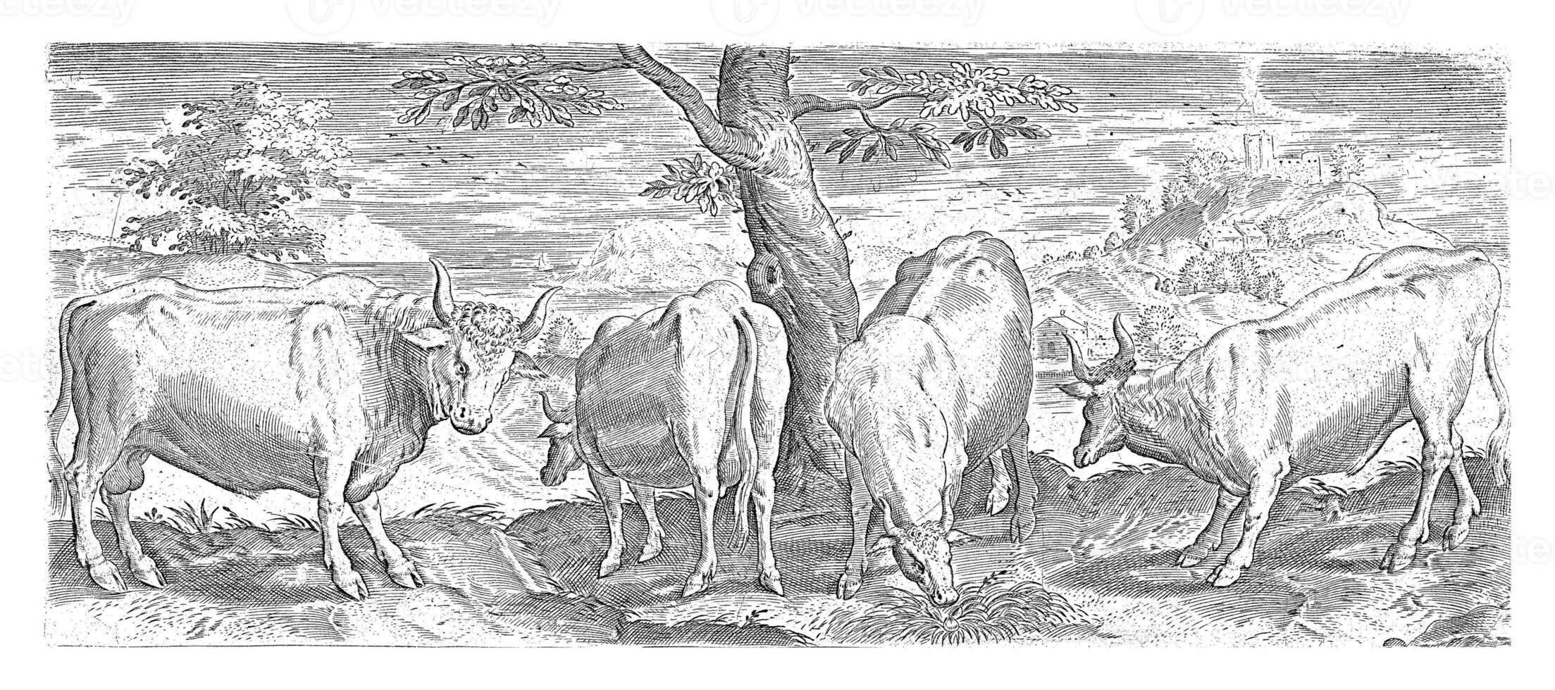 vacas, un toro y un buey, Abrahán Delaware bruyn foto