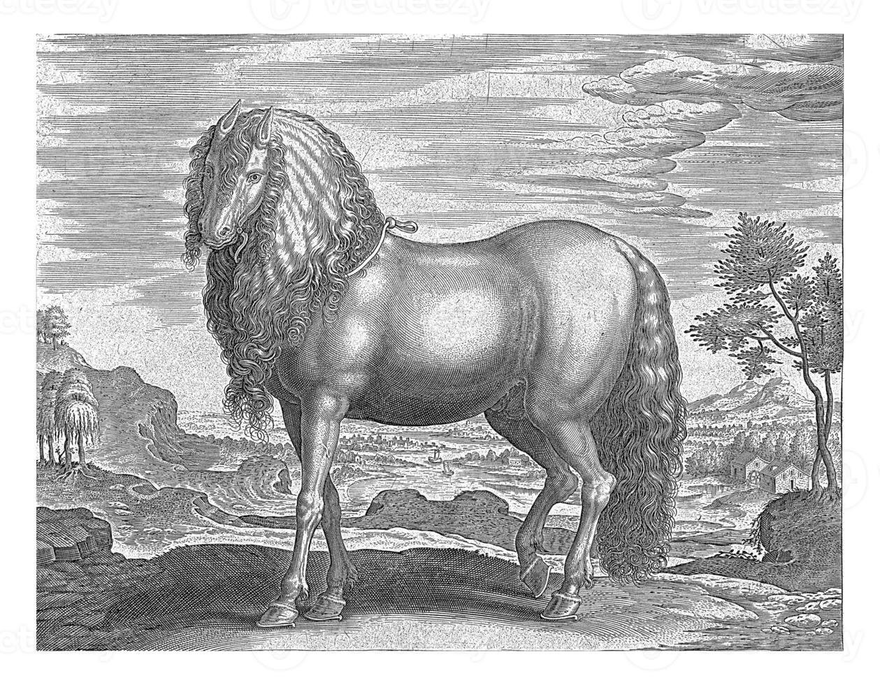 Horse from Romania Dacus, Hans Collaert I attributed to, after Jan van der Straet, c. 1578 - c. 1582 photo